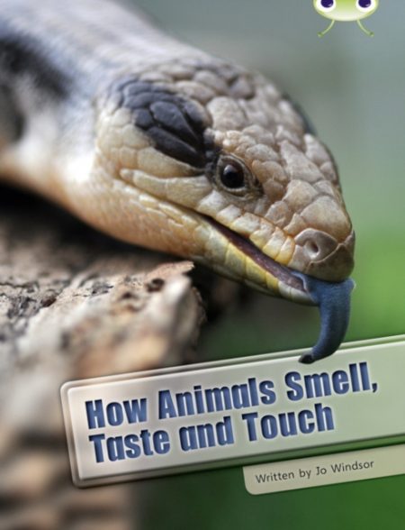 Bug Club Independent Non Fiction Year Two White A How Animals Smell, Taste and Touch - 9780435076306