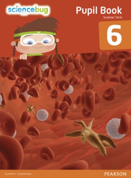 Science Bug Pupil Book Year 6 - 9780435162733