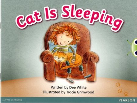 Bug Club Guided Fiction Reception Pink A Cat is Sleeping - 9780435167424