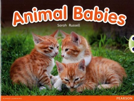 Bug Club Independent Non Fiction Reception Red B Animal Babies - 9780435167974