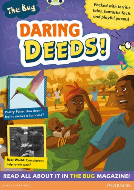 Bug Club Pro Guided Y4 Daring Deeds - 9780435180478