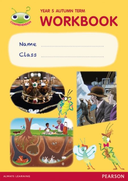 Bug Club Pro Guided Y5 Term 1 Pupil Workbook - 9780435185909