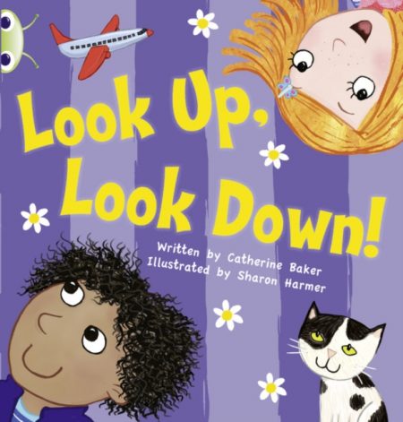 Bug Club Guided Fiction Reception Pink A Look Up, Look Down - 9780435914349