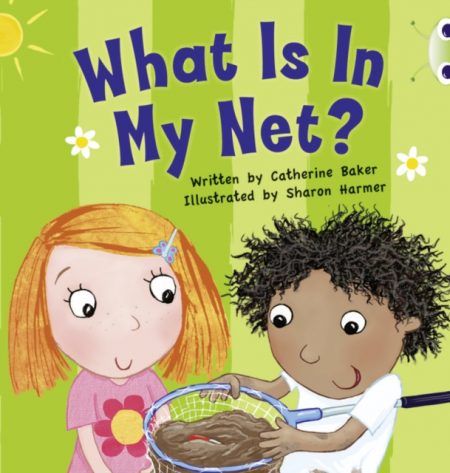 Bug Club Guided Fiction Reception Pink B What is in my Net? - 9780435914370