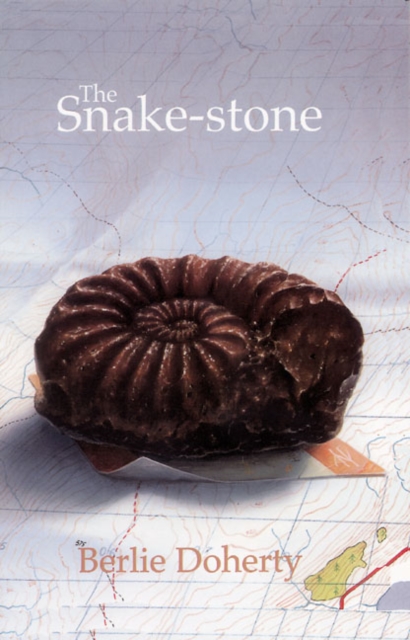 Snake-stone - 9780582434554