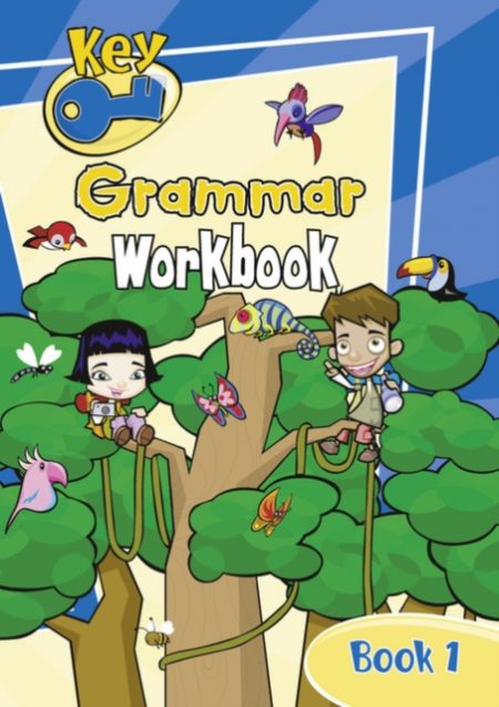 Key Grammar Level 1 Work Book (6 pack) - 9780602206451