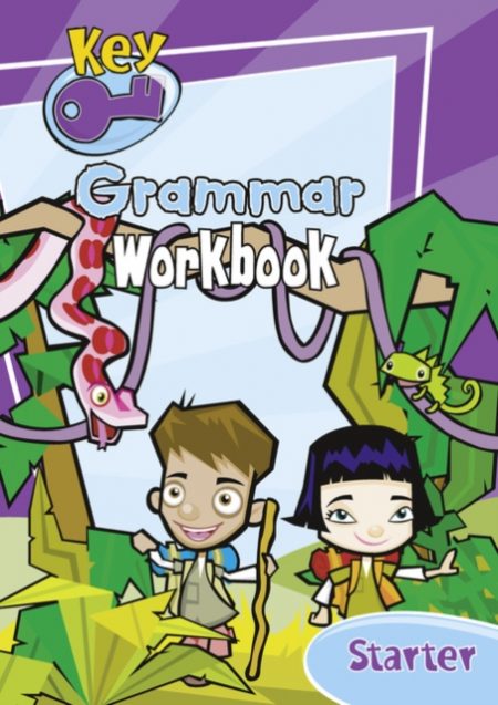 Key Grammar Starter Workbook - 9780602206796
