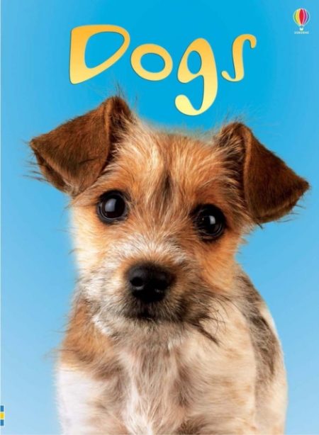 Dogs - 9780746080481