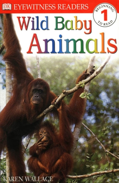 DK READERS LEVEL 1: WILD BABY ANIMALS 1st Edition - Paper - 9780751362596