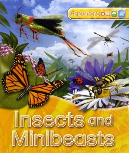 Explorers: Insects and Minibeasts - 9780753430385