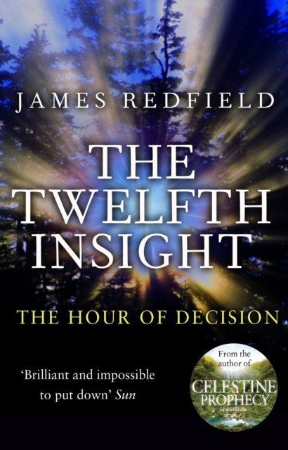 The Twelfth Insight - 9780857500205