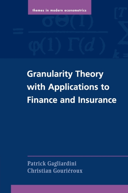 Granularity Theory with Applications to Finance and Insurance - 9781107662889