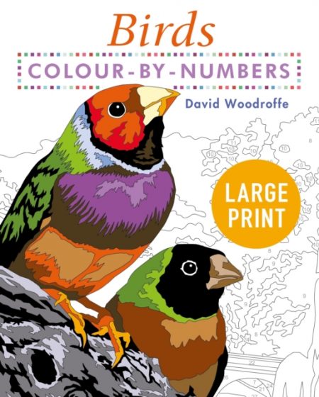 Large Print Colour by Numbers Birds : Easy-to-Read - 9781398808904