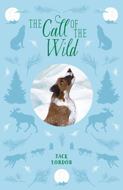 The Call of the Wild - 9781398819016