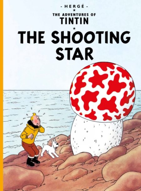The Shooting Star - 9781405206211