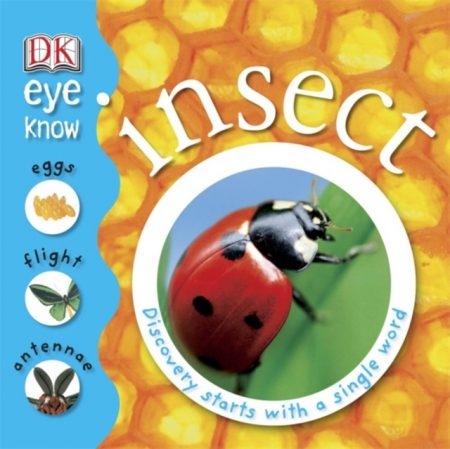 Insects - 9781405316095