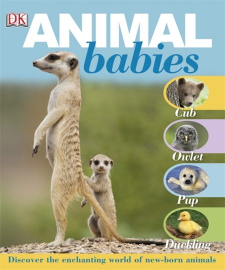 Animal Babies - 9781405352666
