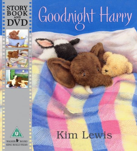 Goodnight, Harry - 9781406324037