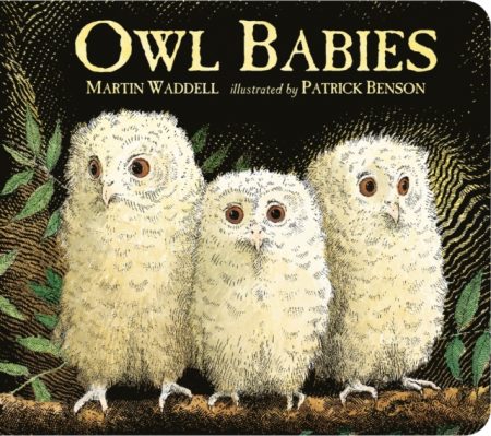 Owl Babies - 9781406364477