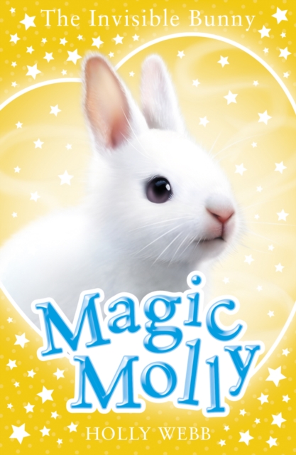 The Invisible Bunny - 9781407171326