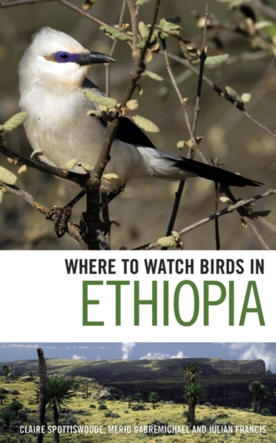 Where to Watch Birds in Ethiopia - 9781408130759