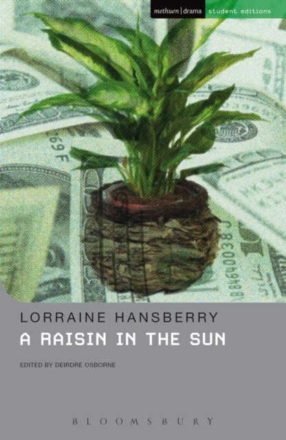 A Raisin In The Sun - 9781408140901
