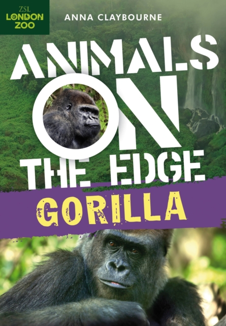 Gorilla - 9781408149591