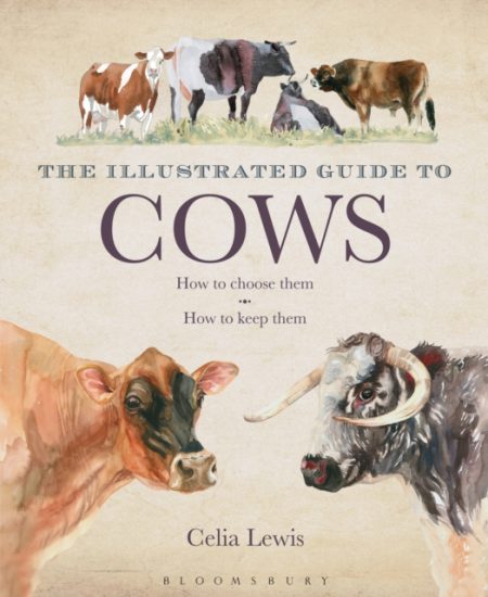 The Illustrated Guide to Cows : How To Choose Them - How To Keep Them - 9781408181355