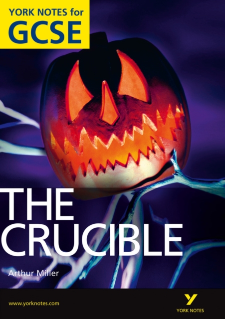 The Crucible: York Notes for GCSE (Grades A*-G) - 9781408270042