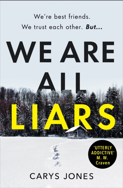 We Are All Liars : The 'utterly addictive' winter thriller with twists you won't see coming - 9781409196013