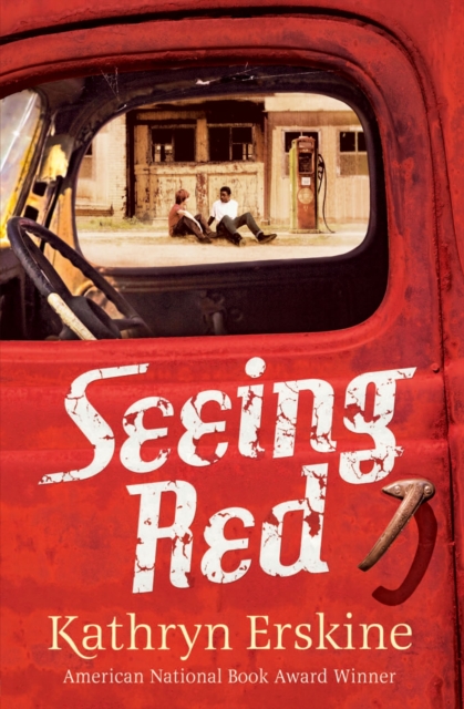 Seeing Red - 9781409570509