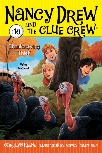 Thanksgiving Thief : 16 - 9781416967774