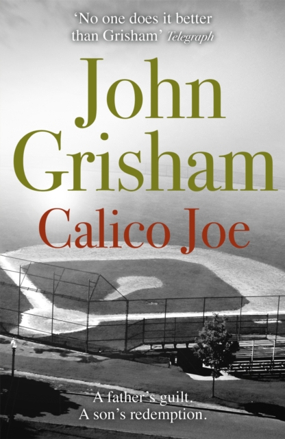 Calico Joe : An unforgettable novel about childhood, family, conflict and guilt, and forgiveness - 9781444744668