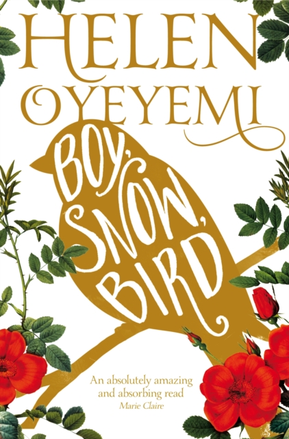 Boy, Snow, Bird - 9781447237143