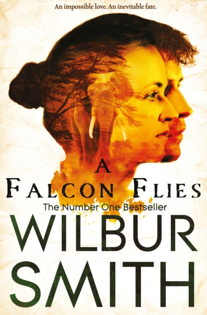 A Falcon Flies - 9781447267140