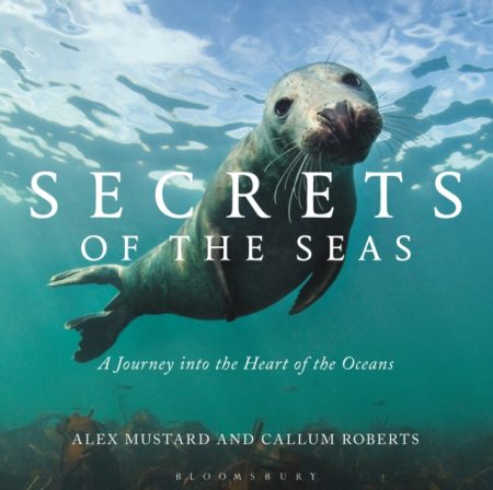 Secrets of the Seas : A Journey into the Heart of the Oceans - 9781472927613