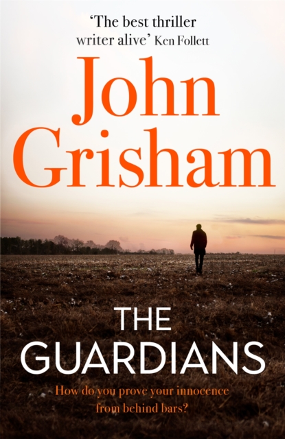 The Guardians : The Sunday Times Bestseller - 9781473684478