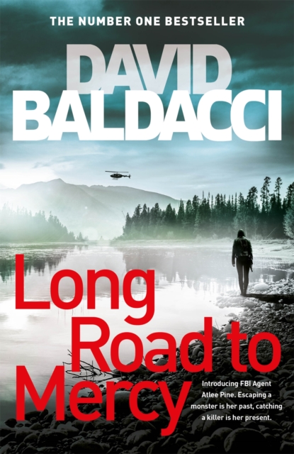 Long Road to Mercy - 9781509874361