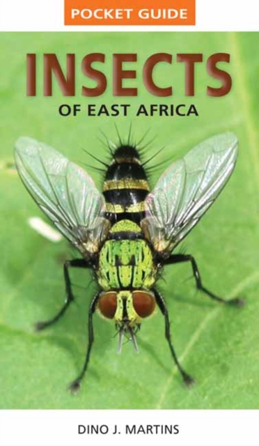 Pocket Guide Insects of East Africa - 9781770078949