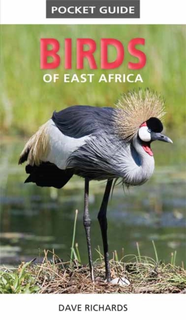 Pocket Guide to Birds of East Africa - 9781775843610
