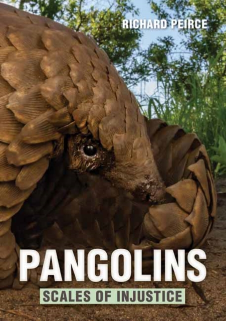 Pangolins : Scales of Injustice - 9781775847120