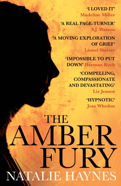 The Amber Fury : 'I loved it' Madeline Miller - 9781782392781