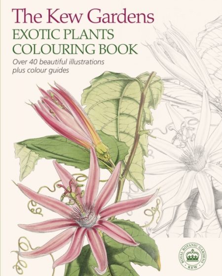 Kew Gardens Exotic Plants Colouring Book - 9781784045654