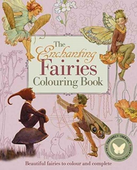Enchanting Fairies Colouring Book, the - 9781784284084