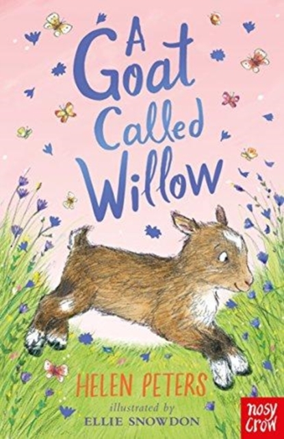 A Goat Called Willow - 9781788000369