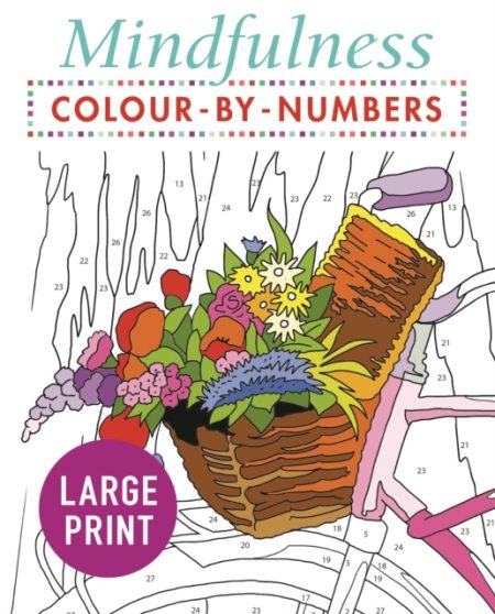 Mindfulness Colour-by-Numbers Large Print - 9781789500486