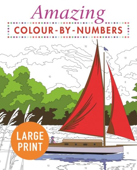 Amazing Colour-by-Numbers Large Print - 9781789500509