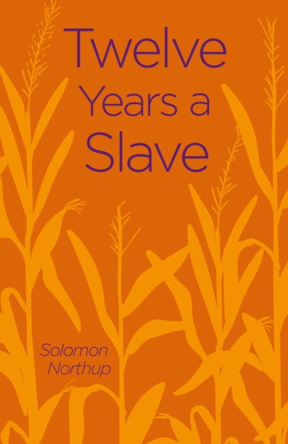 Twelve Years a Slave - 9781838575663