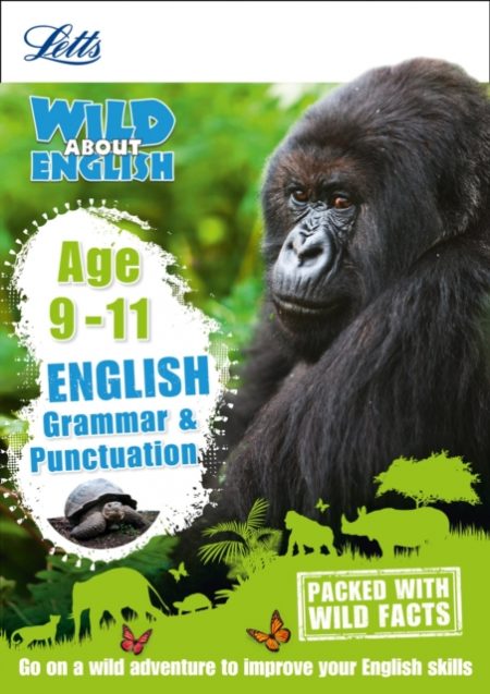 English - Grammar & Punctuation Age 9-11 - 9781844197828