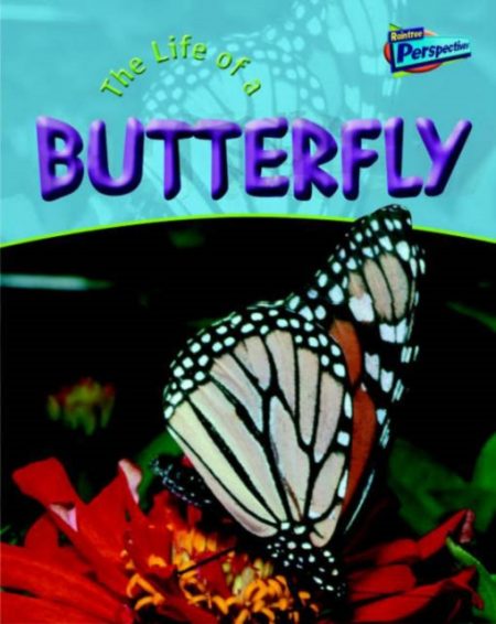 The Life Of A Butterfly - 9781844433223